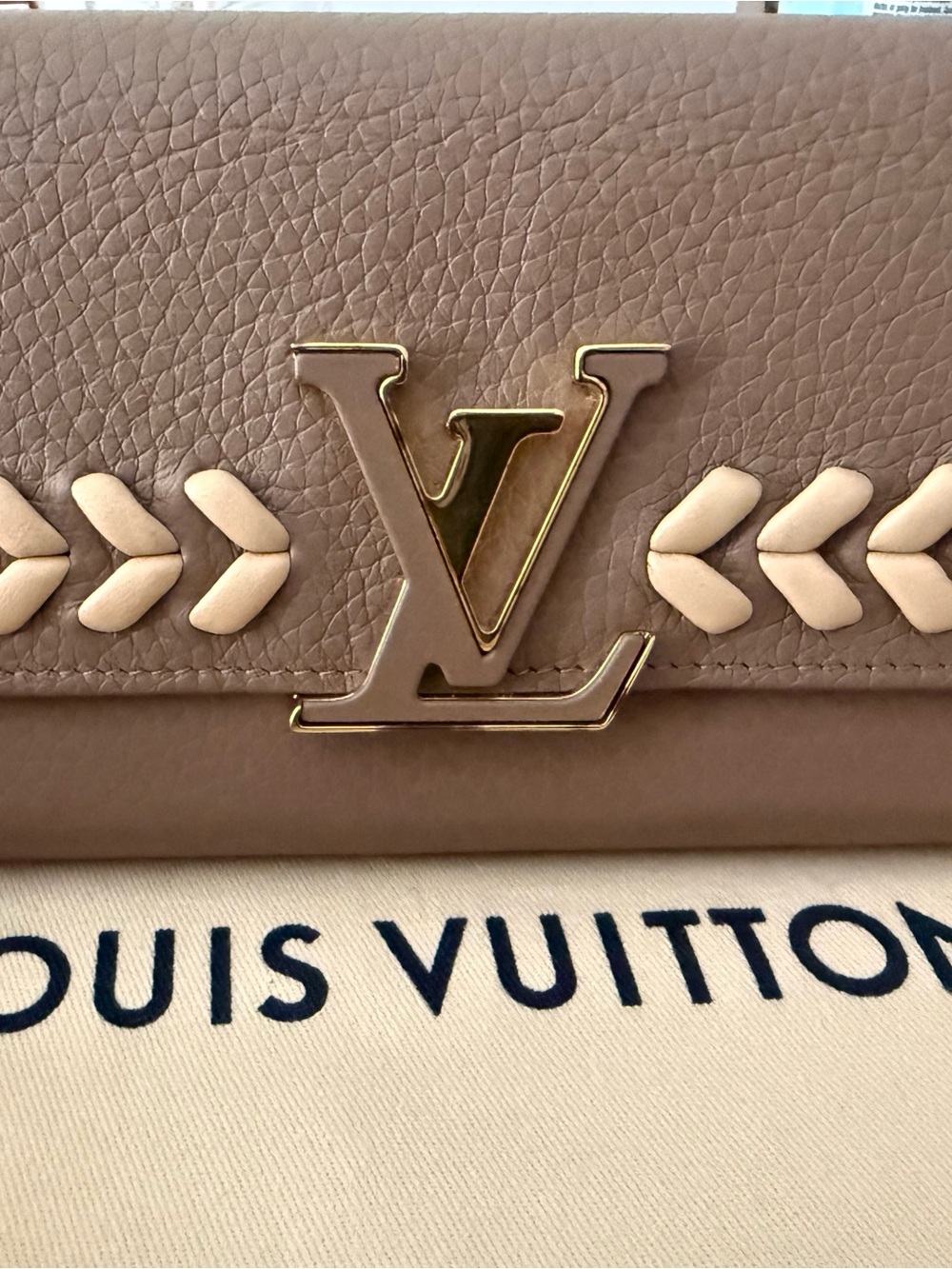Louis Vuitton Portefeuille Capucines Long Wallet with Gold LV Emblem